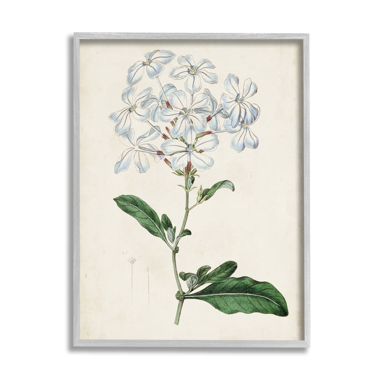 Stupell Industries Rustic Garden Floral Study Charming White Blossoms in Gray Frame Wall Art